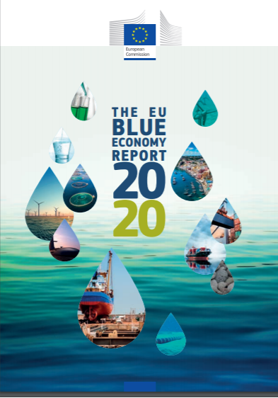 Blue Economy report 2020